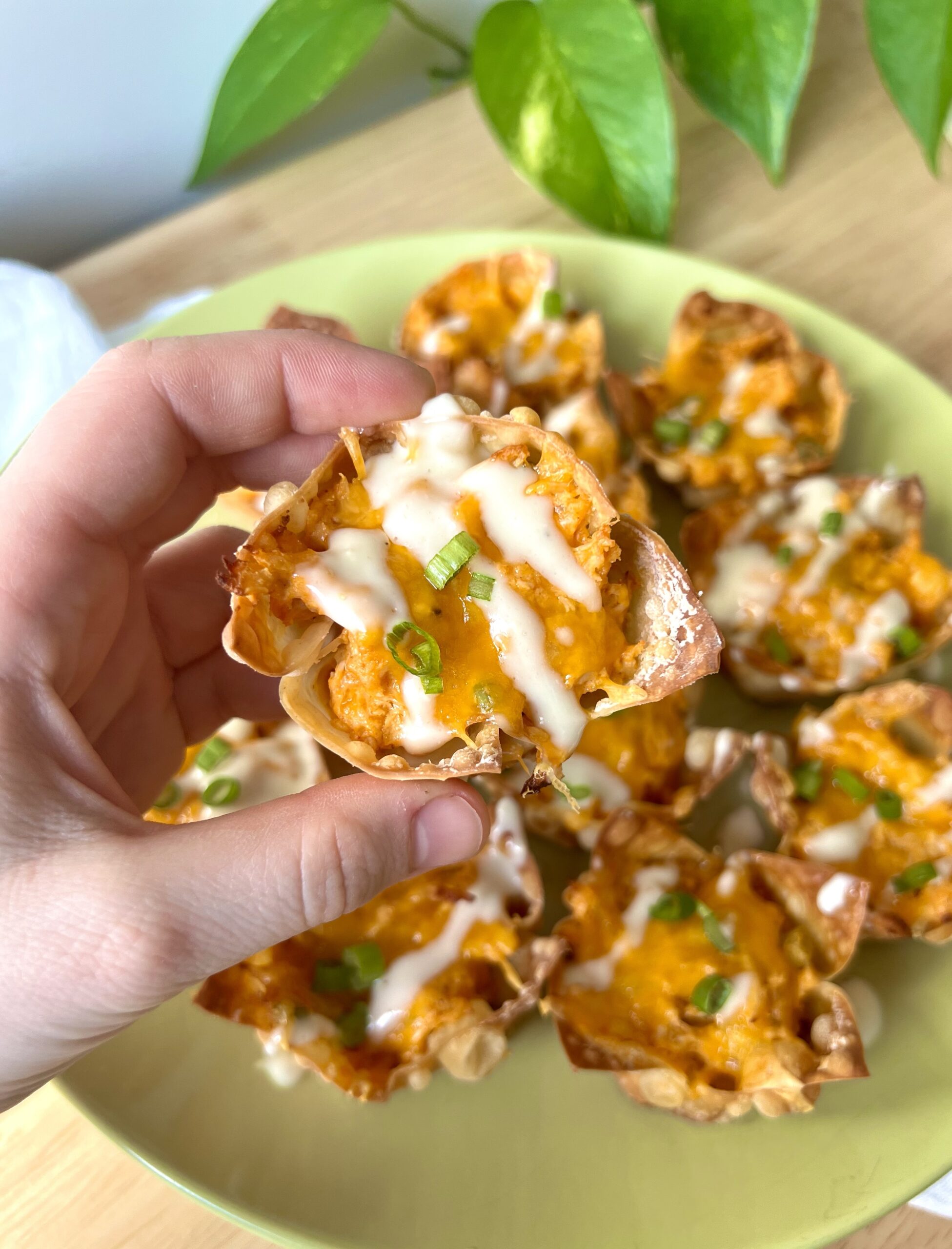 Buffalo Chicken Wonton Cups - Kenna's Cooks